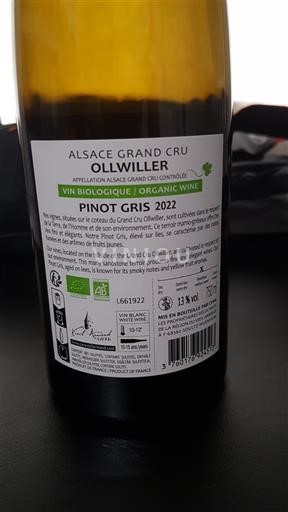 Alsazia Non specificato Grand Cru Ollwiller 2022
