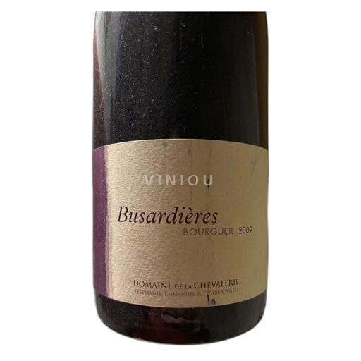 Loiren laakso Bourgueil Domaine CASLOT DE LA CHEVALERIE BUSARDIERES 2009