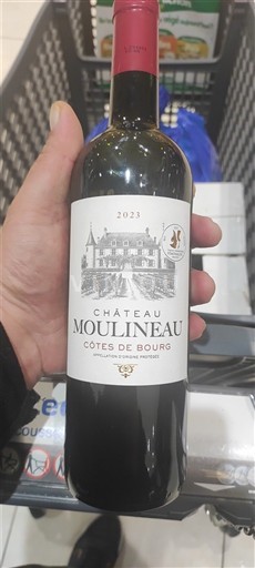 Bordeaux Côtes-de-bourg Château Moulineau 2023