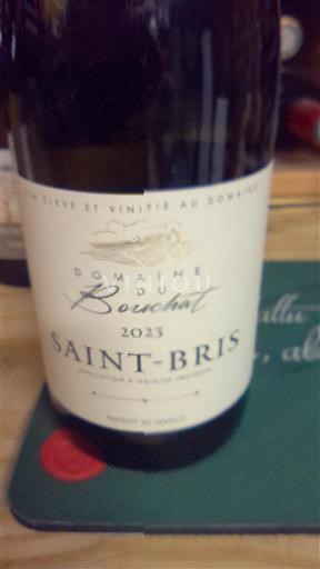 Borgonha Saint-Bris Domaine Bouchet 2023