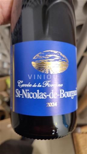 Loire-dalen Saint-Nicolas-De-Bourgueil Cuvée de la Foraine 2024