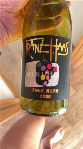 Trentino-Alto Adige Alto Adige Franz Haas 2020