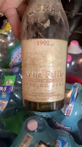 Jura Côtes-do-jura Domaine Morel-Thibaut 1992