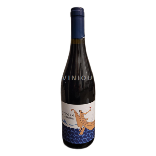 Vallée du Rhône Côtes-du-rhône Domaine Duseigneur Odyssée 2022