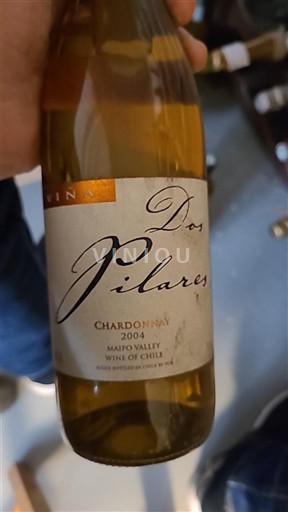 Thung lũng Maipo Maipo Alto Dos Pilares 2004