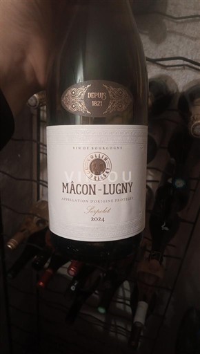Vin Blanc sec Cave de Lugny 2021 France Bourgogne Mâcon et mâcon-villages AOC