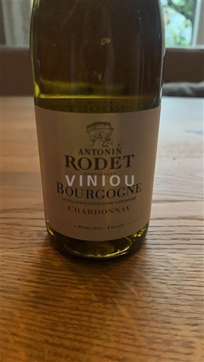 Vin Blanc sec Antonin Rodet 2023 France Bourgogne AOC