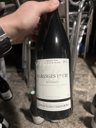 Burgundi Määrittelemätön Premier Cru Domaine Maurice Charleux & Fils La Fussière 2022