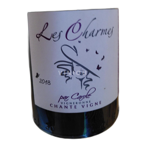 Beaujolais Morgon Domaine Chantevigne À Partager 2018