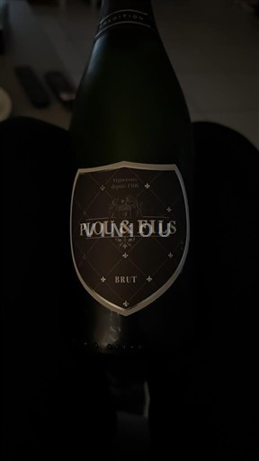 Loirevallei Vouvray Plou & Fils Niet-geïntegreerd