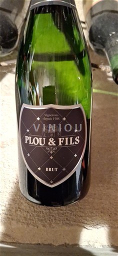 Loirevallei Vouvray Plou & Fils Niet-geïntegreerd