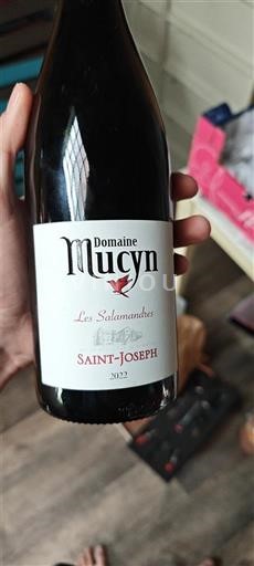 Rhônen laakso Saint-Joseph Domaine Mucyn Les Salamandres 2022