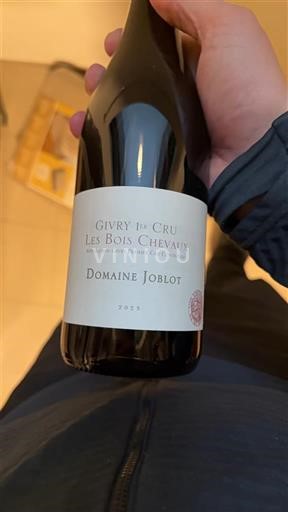 Bourgogne Givry Premier Cru Domaine Joblot Les Bois Chevaux 2023