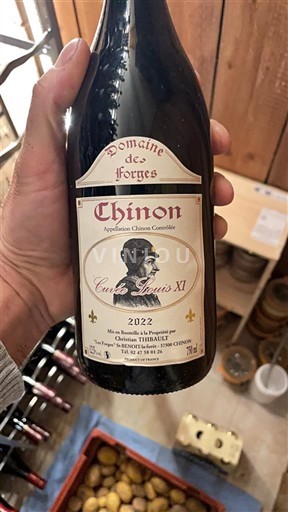 Thung lũng sông Loire Chinon Domaine Des Forges Louis XI 2022