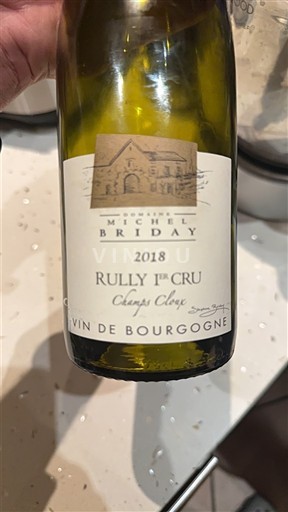 Burgundy Rully Premier Cru Domaine Michel Briday Champs Cloux 2018