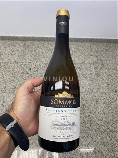 Aragonien Somontano Bodega Sommos Colección Sauvignon Blanc 2024