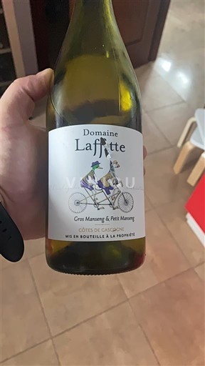 Tây Nam Côtes de Gascogne Domaine Laffitte 2023