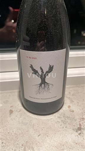 Castille et León Ribera del Duero Bodega Dominio de Pingus PSI 2021