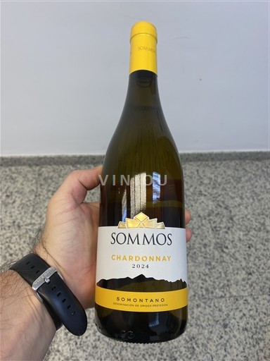 Aragonien Somontano Bodega Sommos Chardonnay 2024