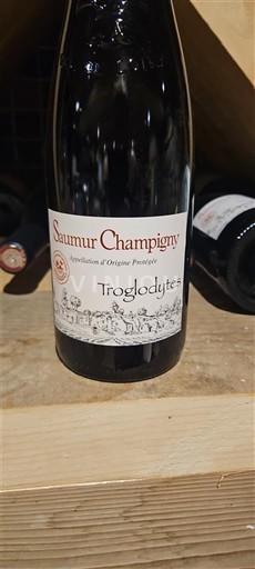 Vallée de la Loire Saumur-champigny Troglodytes 2024
