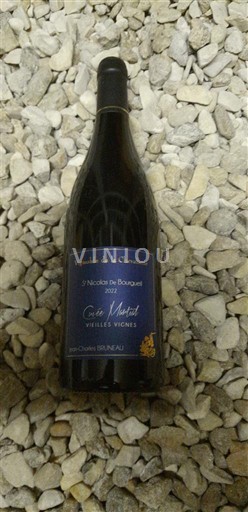 Loire-dalen Saint-Nicolas-De-Bourgueil Vignoble de la Chinotière Côte Madiron 2022