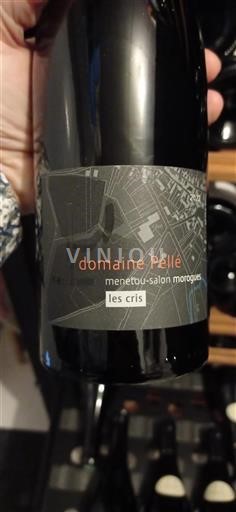 Valle del Loira Menetou-Salon Domaine Pellé Les Cris 2022