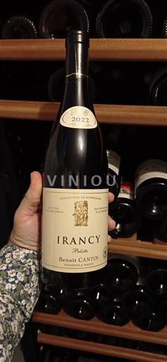 Burgundija Irancy Benoît Cantin Palotte 2022