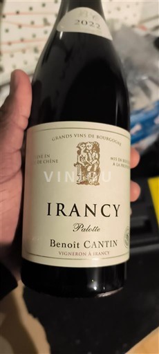 Bourgogne Irancy Benoît Cantin Palotte 2022