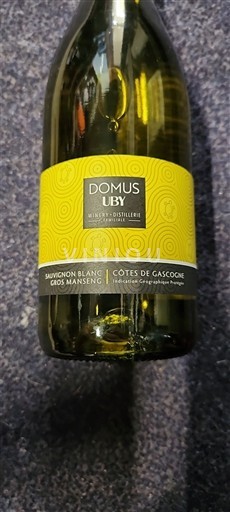 Sudoeste Côtes de Gascogne Uby Domus Uby Sin añada