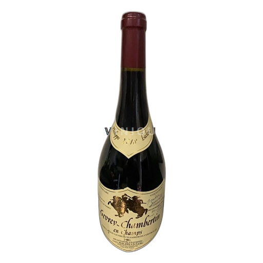 Vin Rouge sec En Champs Sylvie Esmonin 2018 France Bourgogne Gevrey-chambertin AOC