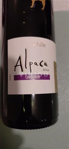 Vale do Maipo Maipo Central Alpaca Carmenère 2024