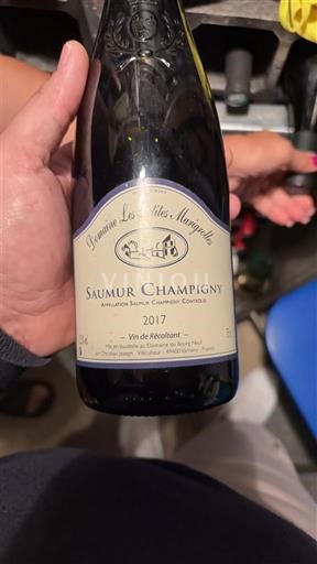 Loiren laakso Saumur-champigny Domaine Les P'tits Murgeries 2017