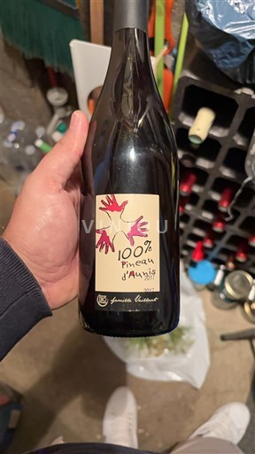 Thung lũng sông Loire Không được chỉ định Famille Lieubeau 100% Pineau d'Aunis 2017