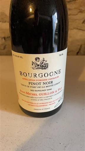 Burgundy Jean-Michel Guillon & Fils Sous le Fort de la Motte 2022