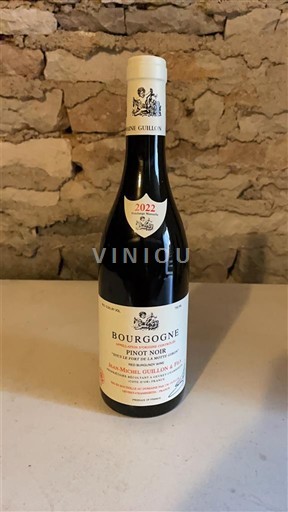 Borgogna Domaine Guillot 2022