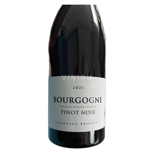 Burgundi Bourgogne Domaine Brintet 2021