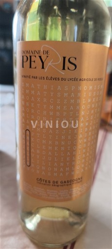 Sudoeste Côtes de Gascogne Domaine Peyris 2022