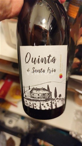 Portugal Dão Quinta de Santa Iria 2023