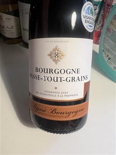 Bourgogne Bourgogne-passetoutgrain Signé Bourgogne 2024