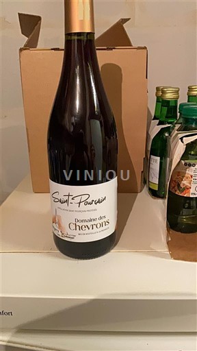 Valle della Loira Saint-Pourçain Domaine Des Chevrons 2023