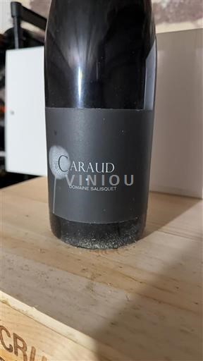 Sydvestfrankrig Buzet Domaine Salisquet Caraud 2016