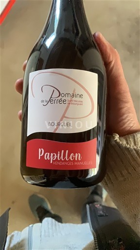 Valle della Loira Bourgueil Domaine La Perrée Papillon 2023