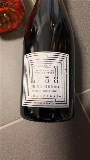 Champaña Champán Perpetual Connection L/38 Sin añada