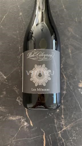 Beaujolais Saint-Amour Paul Clétyron Les Mûriers 2022