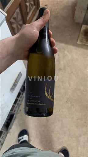 Borgogna Borgogna Chardonnay Maison Colin Seguin Les Archanges Senza annata