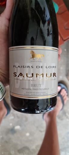 Valle della Loira Saumur Plaisirs de Loire Senza annata