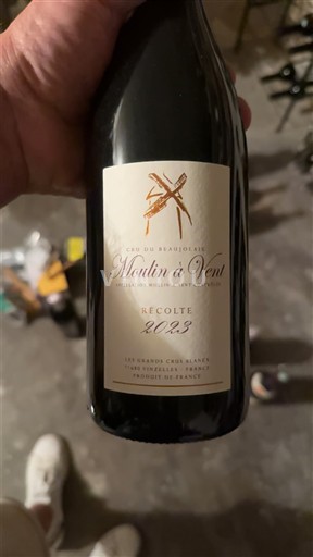 Beaujolais Moulin-à-vent Les Grands Chênes Blancs 2023