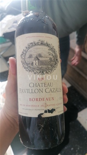 Bordeaux Château Pavillon Cazalis 1996