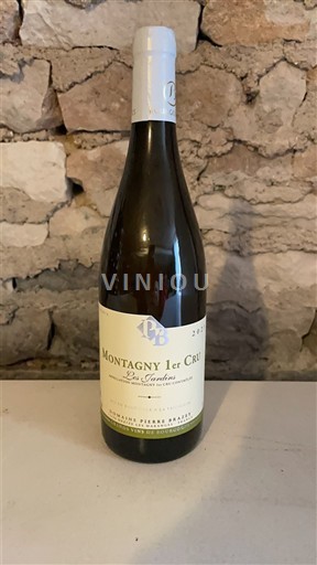 Bourgogne Montagny Premier Cru Domaine Pierre Brazey Les Jardins 2023