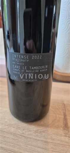 Valais Không được chỉ định Cave Le Tambourin Intense Diolinoir 2022